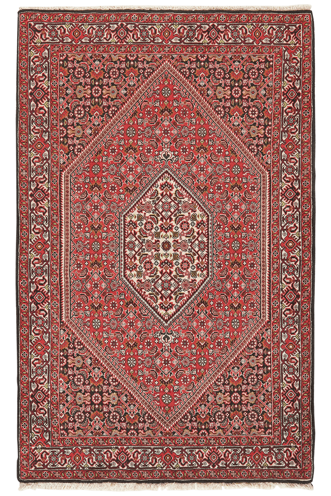 Bidjar Tekkab — Hand-knotted, 93x148 cm, Red, 100% Virgin Wool | Main view
