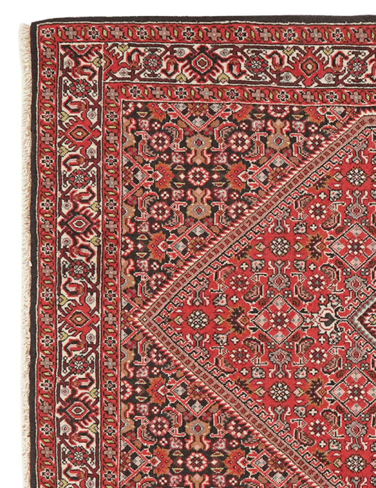 Bidjar Tekkab — Hand-knotted, 93x148 cm, Red, 100% Virgin Wool | View 3