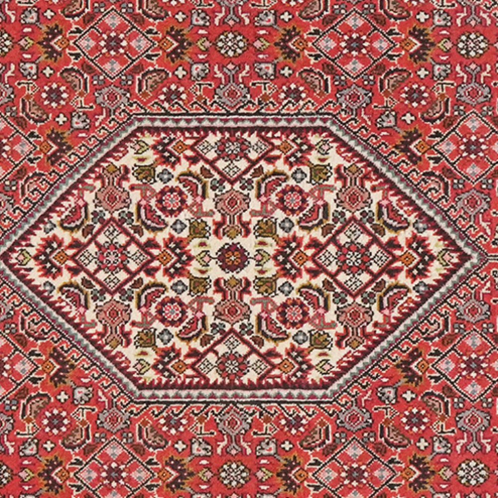 Bidjar Tekkab — Hand-knotted, 93x148 cm, Red, 100% Virgin Wool | View 4