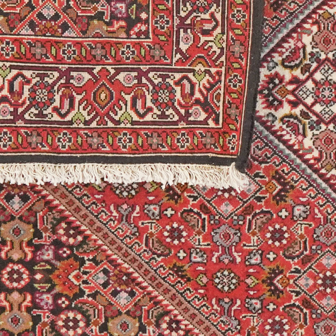Bidjar Tekkab — Hand-knotted, 93x148 cm, Red, 100% Virgin Wool | View 6