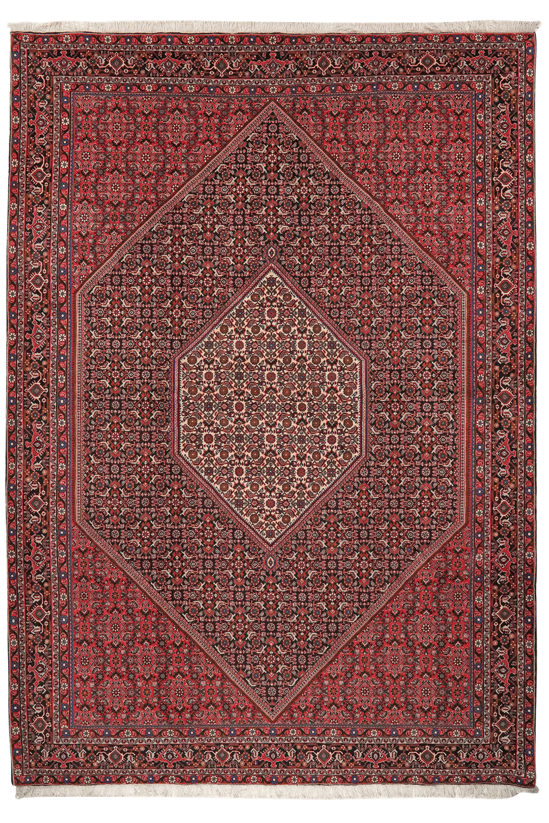 Bidjar — Hand-knotted, 208x298 cm, Blue, 100% Virgin Wool | Main view
