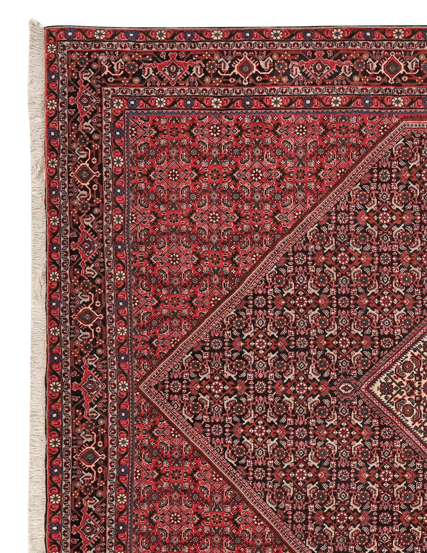 Bidjar — Hand-knotted, 208x298 cm, Blue, 100% Virgin Wool | View 3