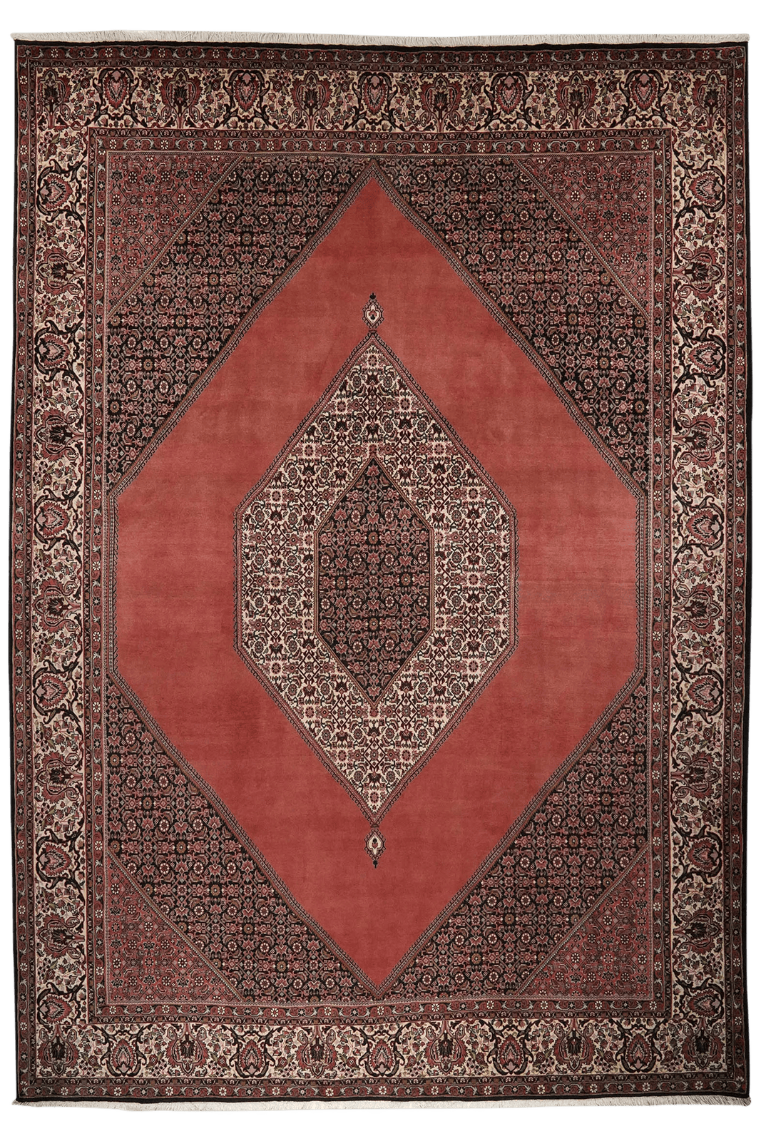 Bidjar — Hand-knotted, 253x358 cm, Red, 100% Virgin Wool | Main view