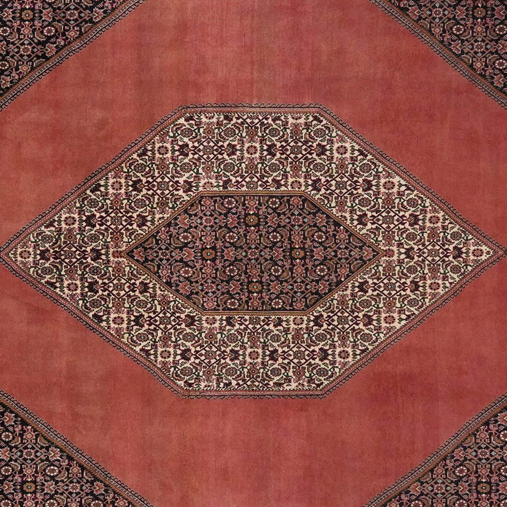 Bidjar — Hand-knotted, 253x358 cm, Red, 100% Virgin Wool | View 4
