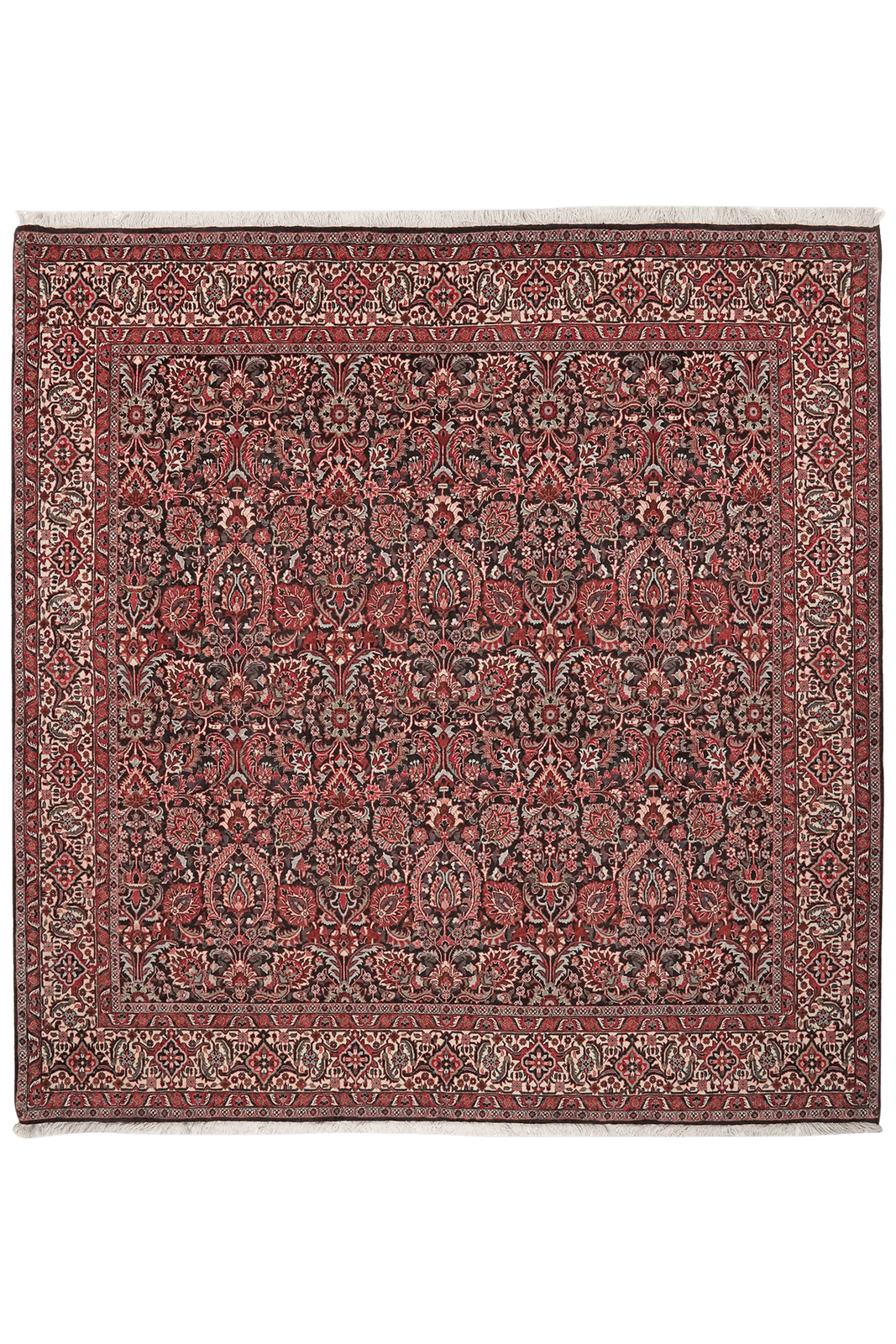 Bidjar — Hand-knotted, 205x213 cm, Blue, 100% Virgin Wool | Main view