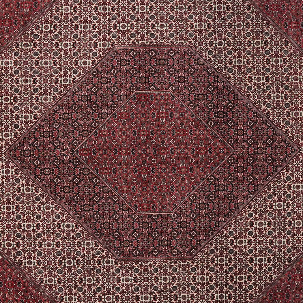Bidjar — Hand-knotted, 254x355 cm, Red, 100% Virgin Wool | View 4