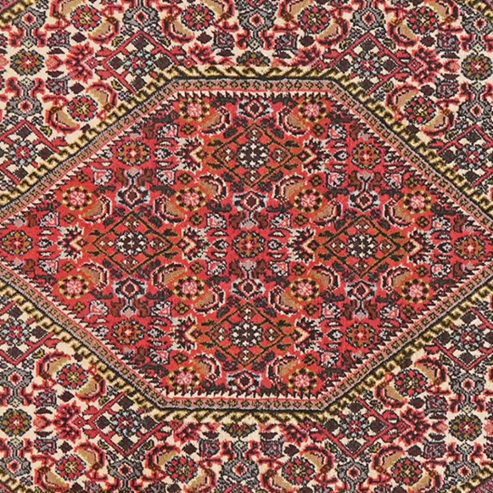 Bidjar Tekkab — Hand-knotted, 91x163 cm, Beige, 100% Virgin Wool | View 4