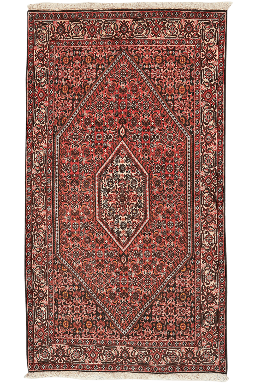 Bidjar Tekkab — Hand-knotted, 91x161 cm, Red, 100% Virgin Wool | Main view