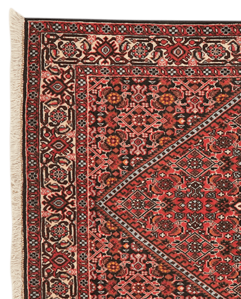 Bidjar Tekkab — Hand-knotted, 91x161 cm, Red, 100% Virgin Wool | View 3