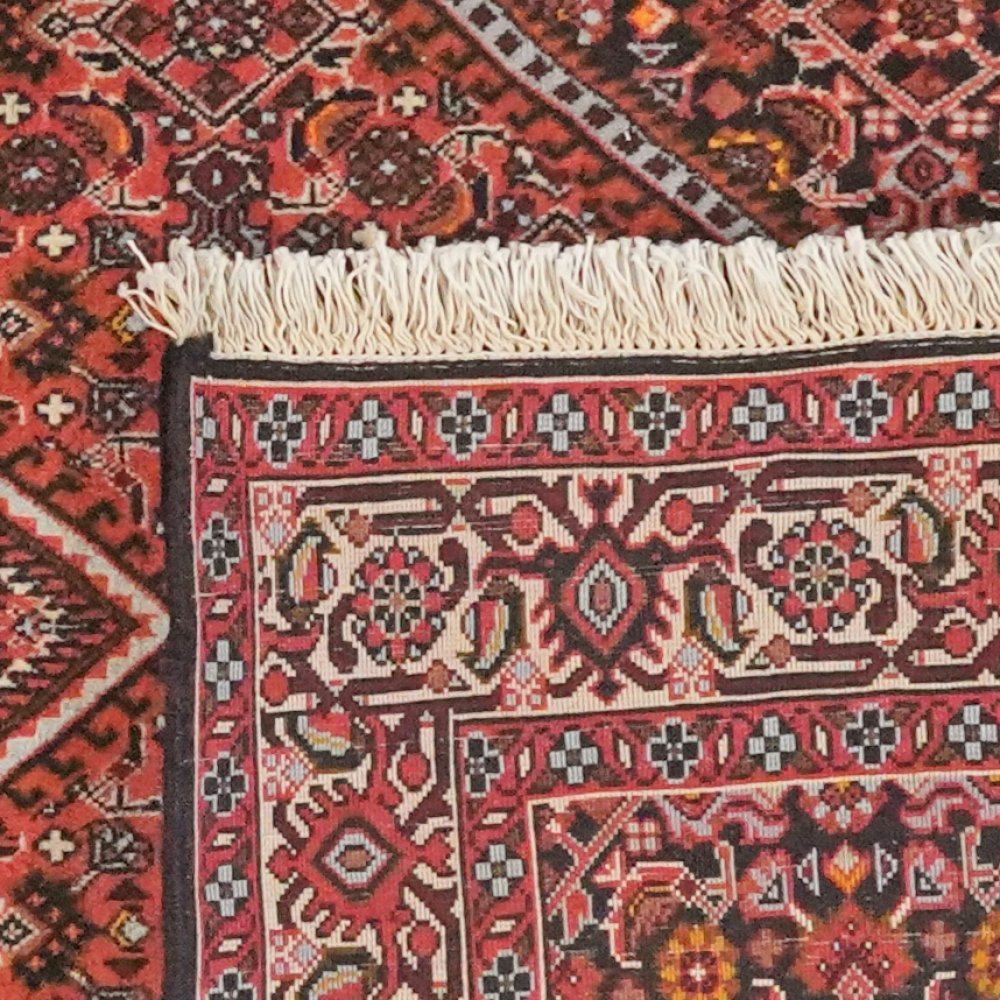 Bidjar Tekkab — Hand-knotted, 91x161 cm, Red, 100% Virgin Wool | View 6
