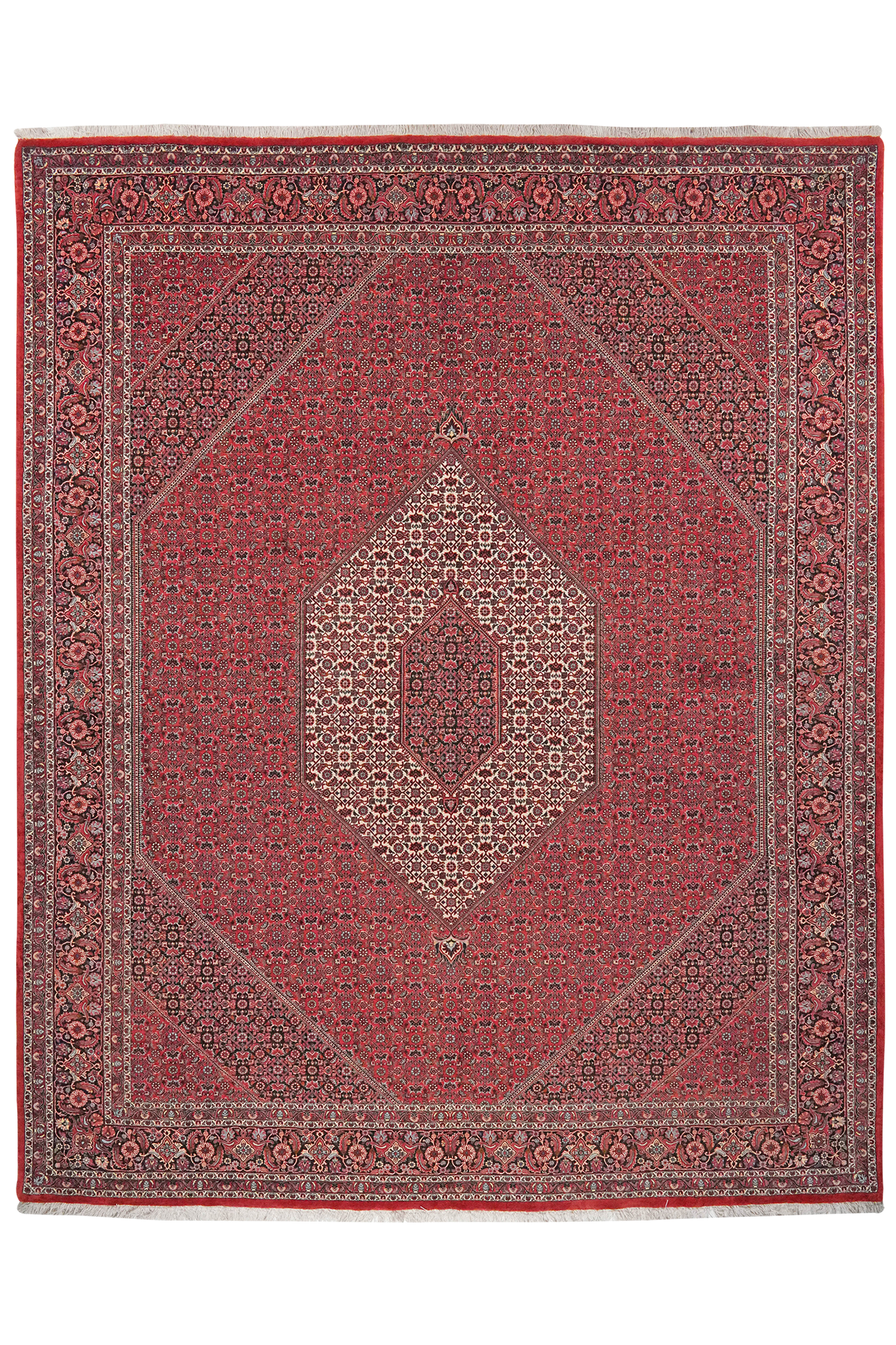 Bidjar — Handgefertigt, 314x255 cm, Blau, 100% Virgin Wool | Main view