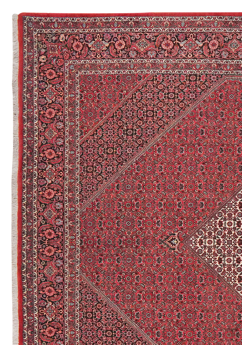 Bidjar — Handgefertigt, 314x255 cm, Blau, 100% Virgin Wool | View 4