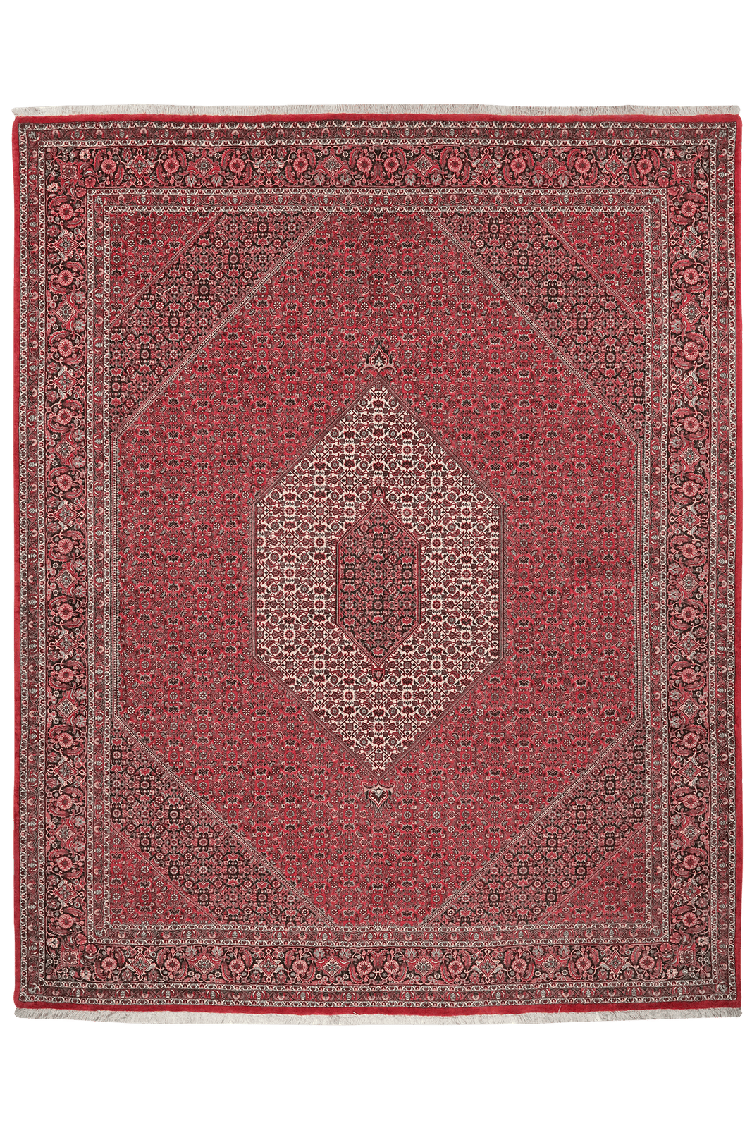 Bidjar — Hand-knotted, 255x314 cm, Red, 100% Virgin Wool | Main view