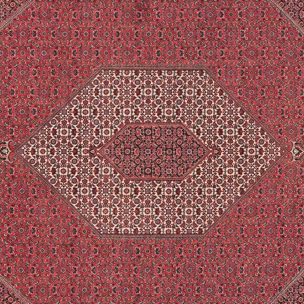 Bidjar — Hand-knotted, 255x314 cm, Red, 100% Virgin Wool | View 4