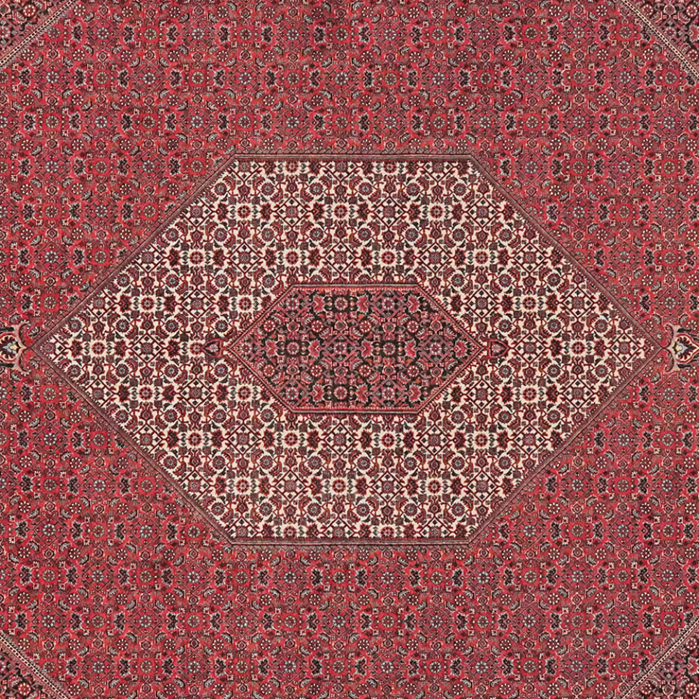 Bidjar — Handgefertigt, 314x255 cm, Blau, 100% Virgin Wool | View 5