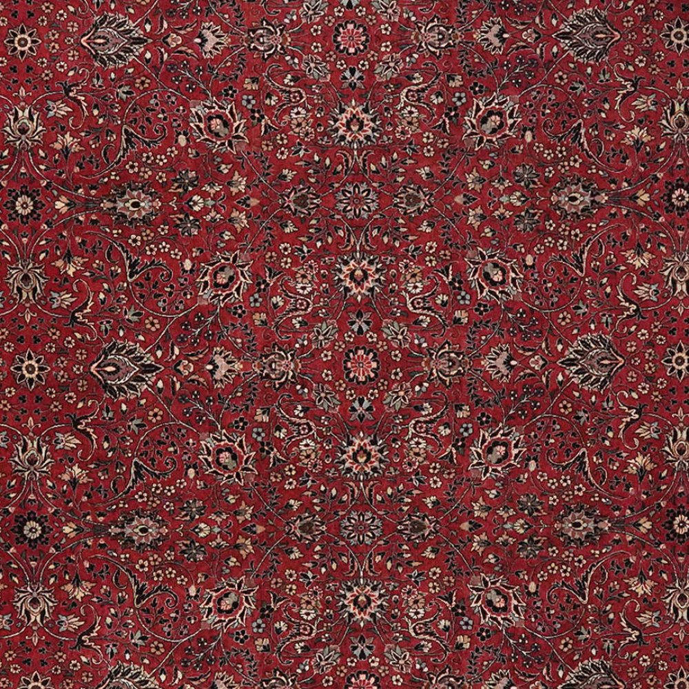 Bidjar Bookan — Hand-knotted, 256x355 cm, Red, 100% Virgin Wool | View 4