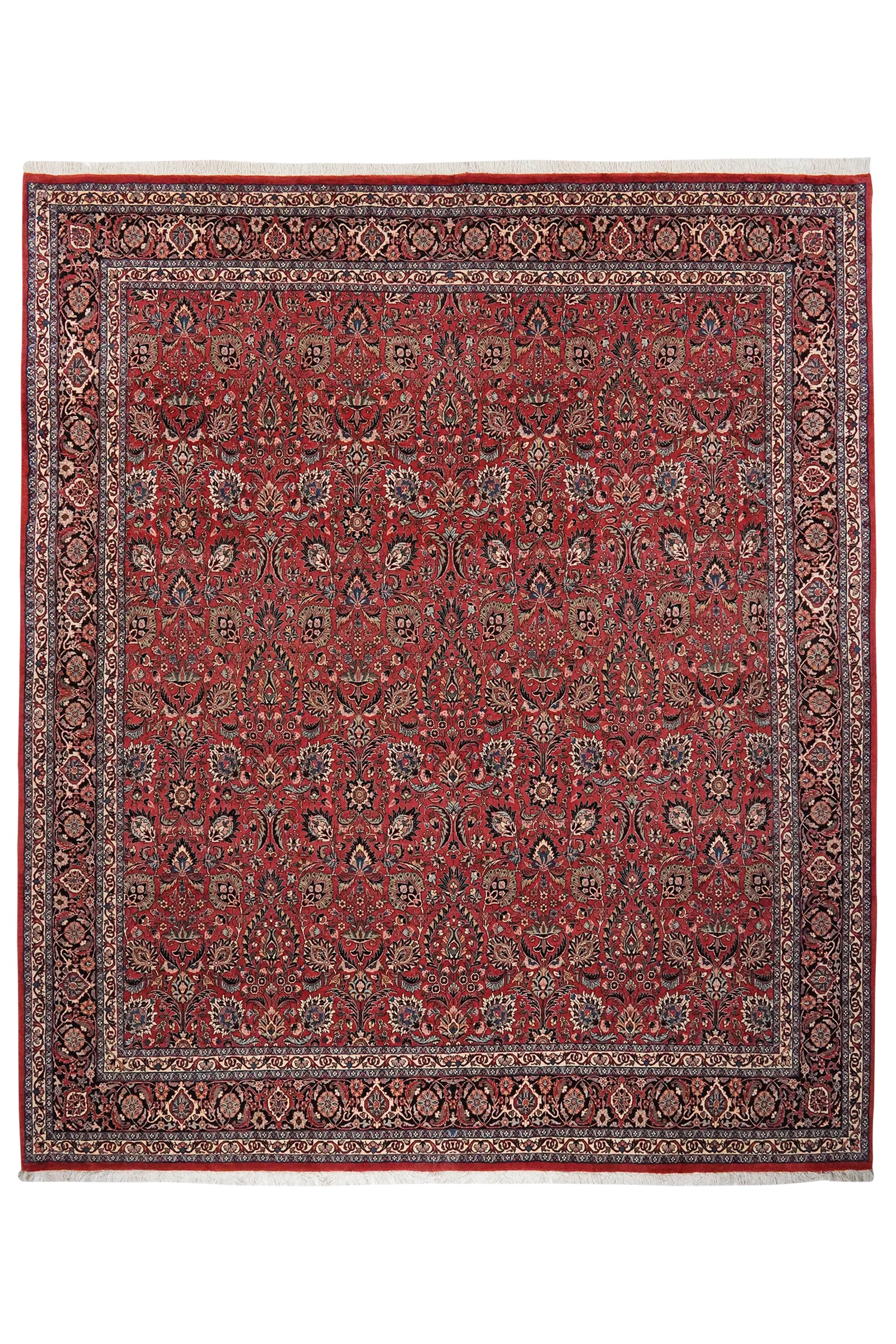 Bidjar — Handgefertigt, 298x254 cm, Blau, 100% Virgin Wool | Main view