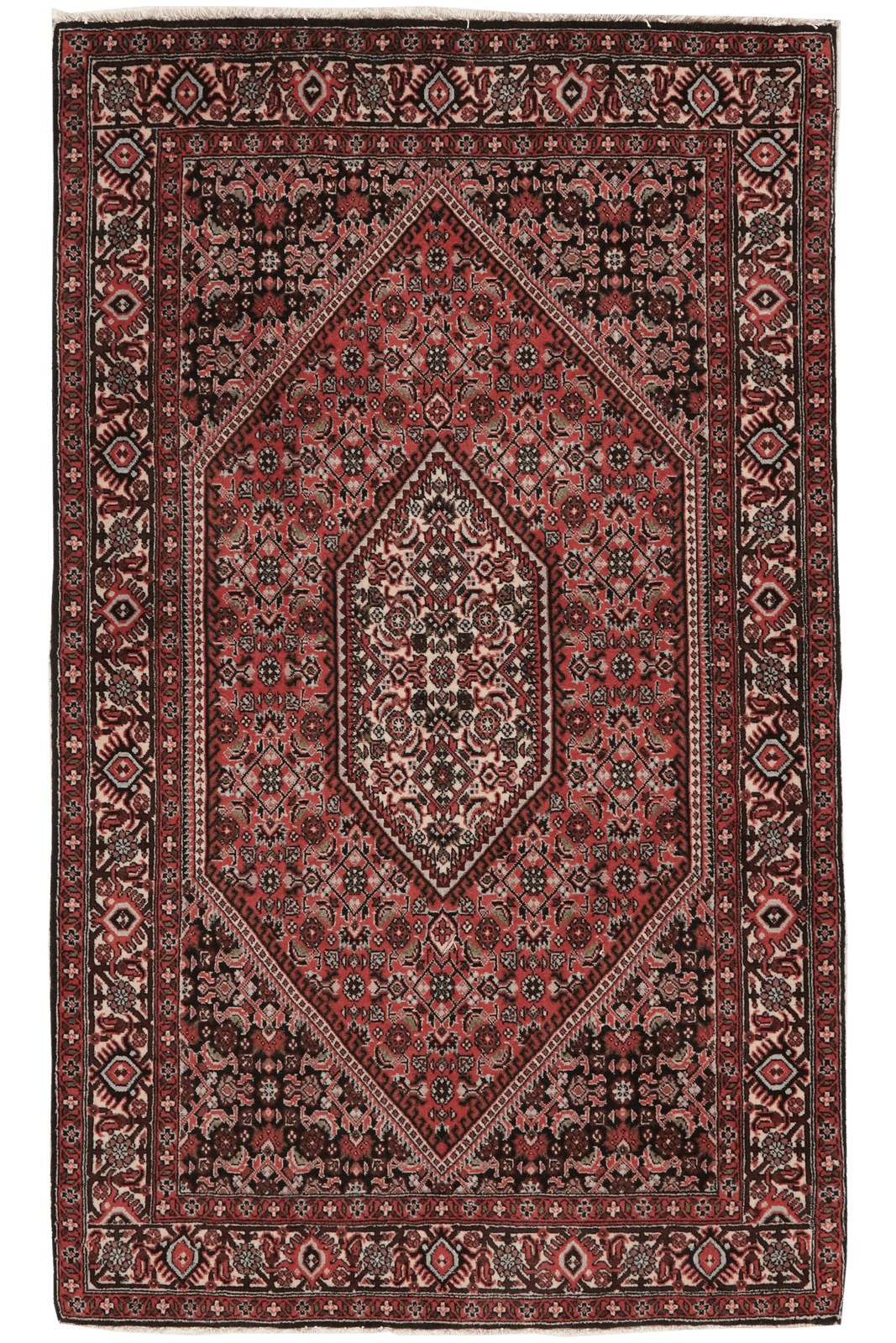 Bidjar Tekkab — Hand-knotted, 92x152 cm, Red, 100% Virgin Wool | Main view
