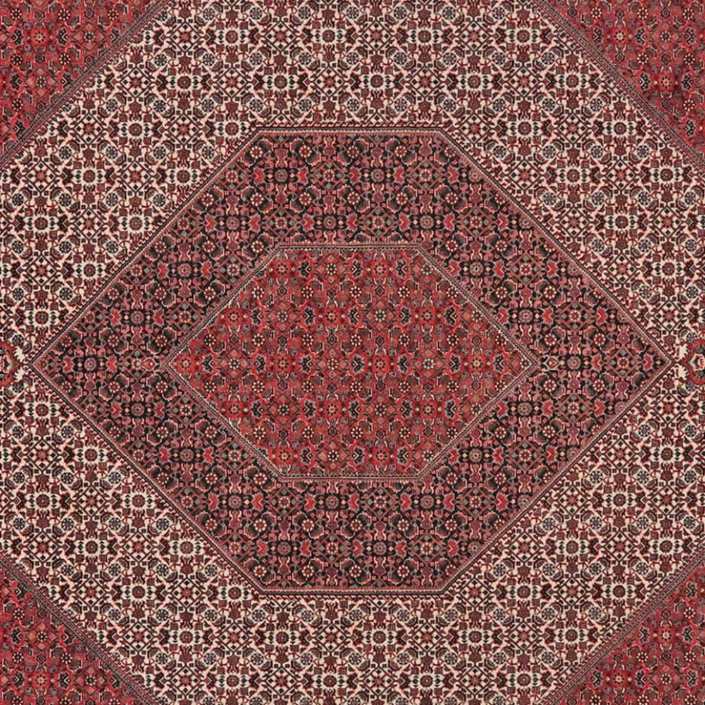 Bidjar — Hand-knotted, 258x311 cm, Beige, 100% Virgin Wool | View 4