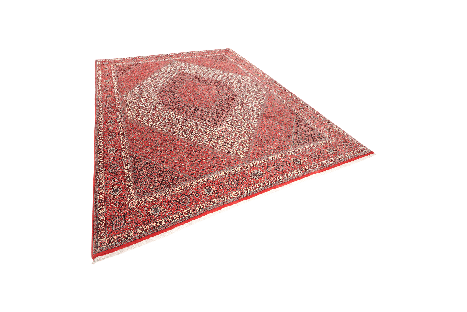 Bidjar — Hand-knotted, 258x311 cm, Beige, 100% Virgin Wool | View 5
