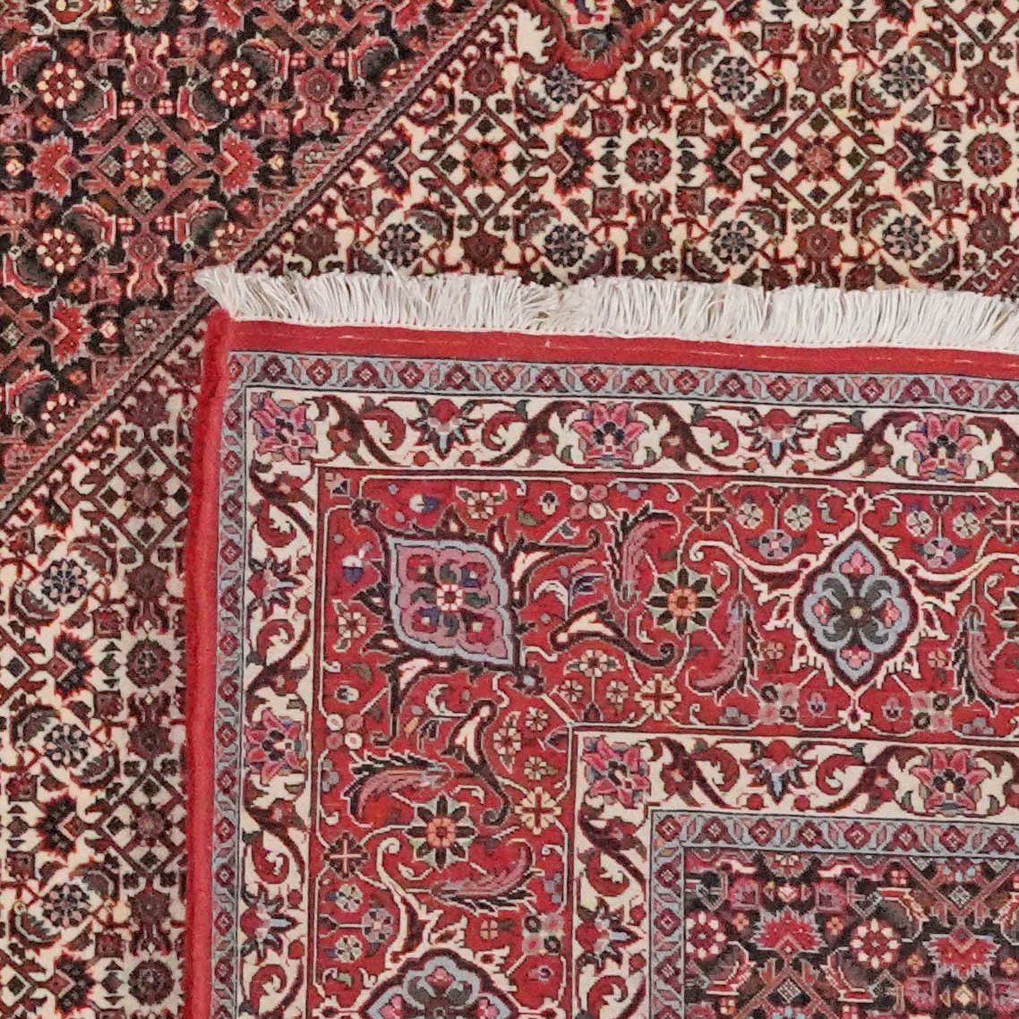 Bidjar — Hand-knotted, 258x311 cm, Beige, 100% Virgin Wool | View 6