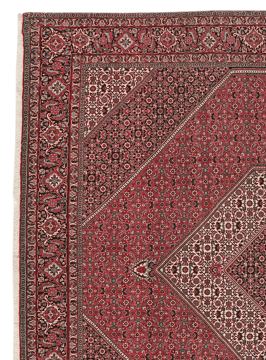 Bidjar — Hand-knotted, 248x248 cm, Red, 100% Virgin Wool | View 3