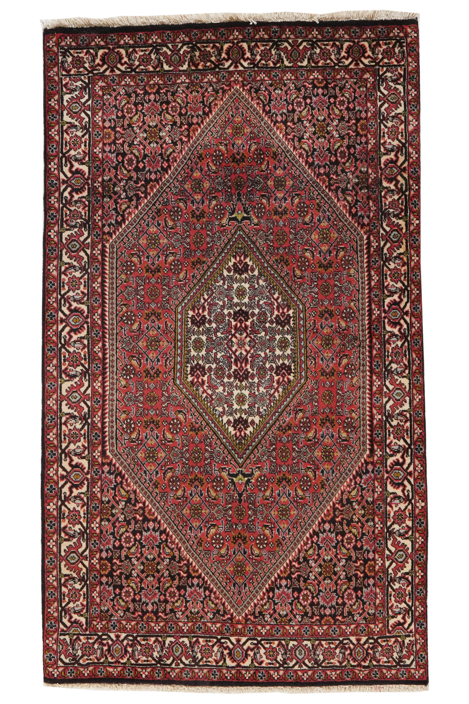 Bidjar Tekkab — Handgefertigt, 155x87 cm, Beige, 100% Virgin Wool | Main view