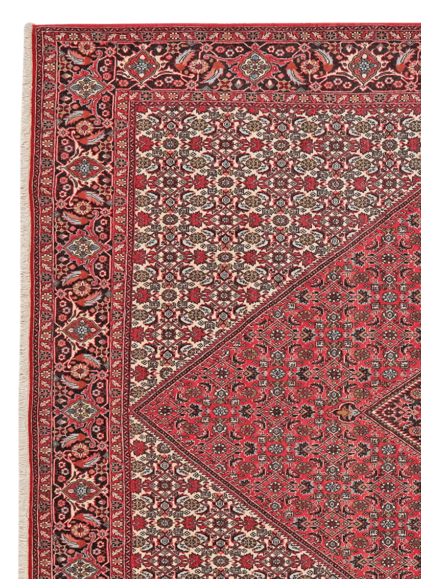 Bidjar Zandjan — Hand-knotted, 249x301 cm, Red, 100% Virgin Wool | View 3