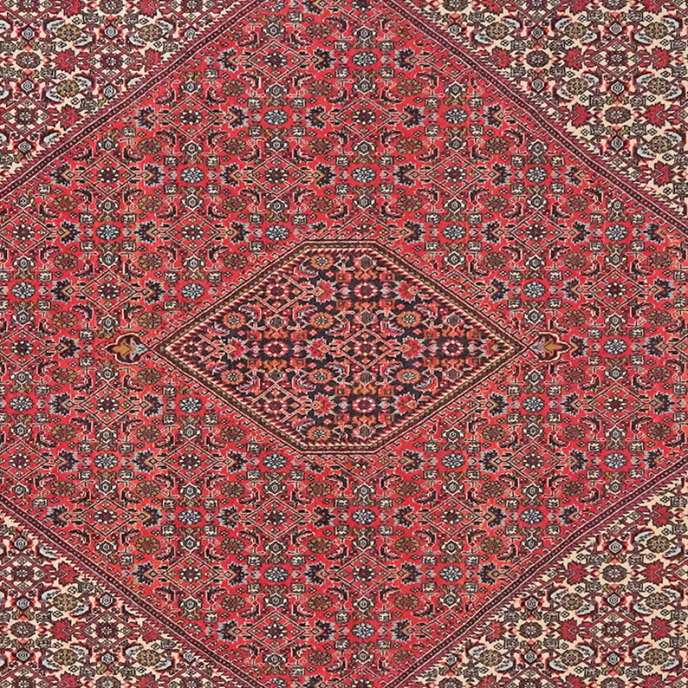 Bidjar Zandjan — Hand-knotted, 249x301 cm, Red, 100% Virgin Wool | View 4