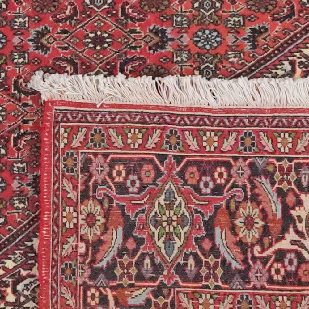 Bidjar Zandjan — Hand-knotted, 249x301 cm, Red, 100% Virgin Wool | View 6