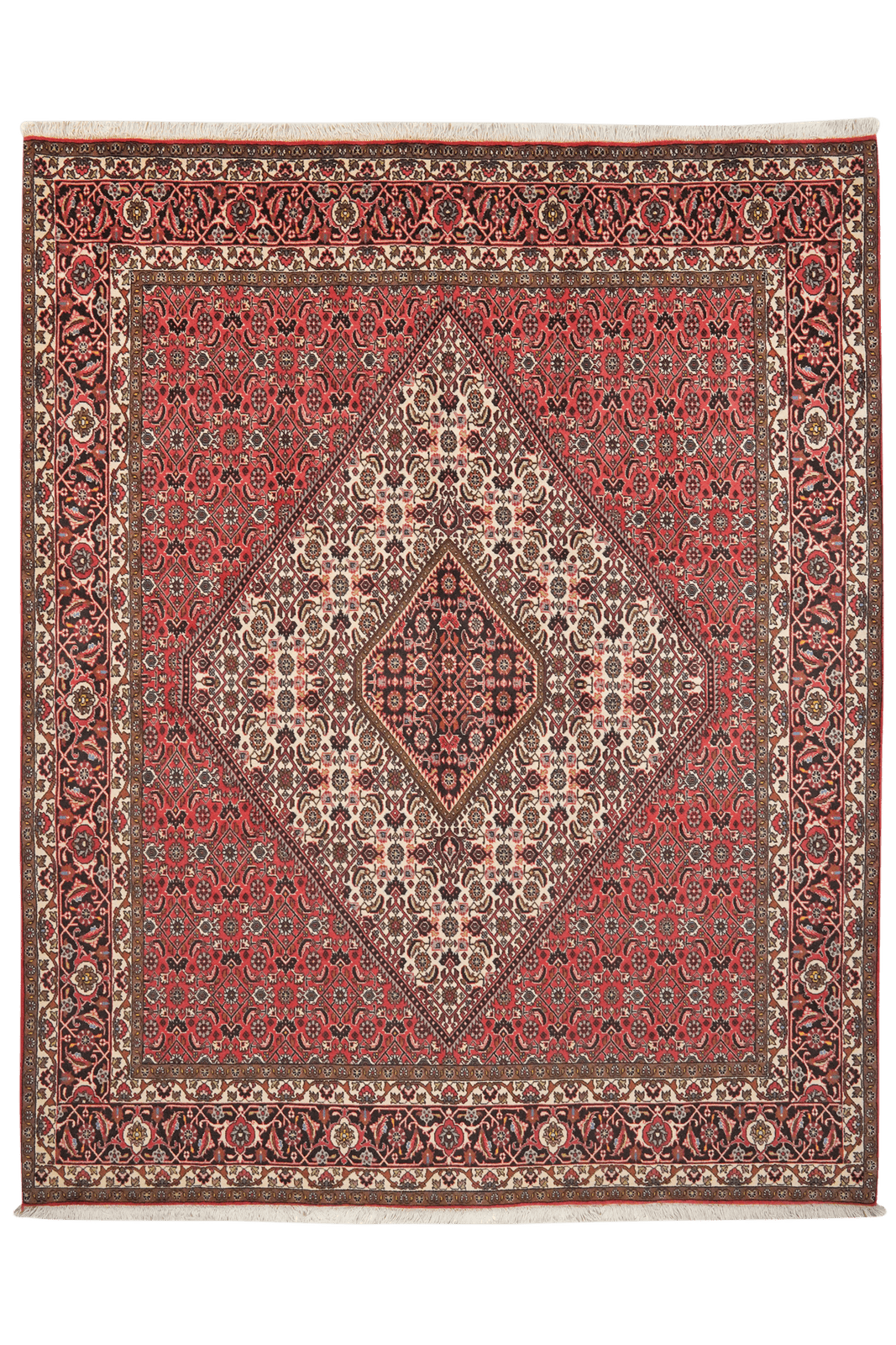 Bidjar — Hand-knotted, 200x247 cm, Beige, 100% Virgin Wool | Main view
