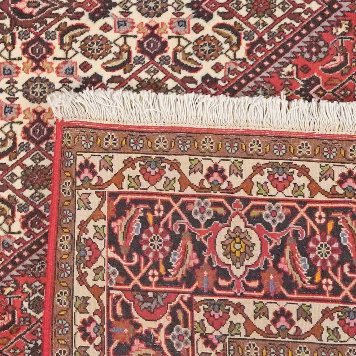 Bidjar — Hand-knotted, 200x247 cm, Beige, 100% Virgin Wool | View 6