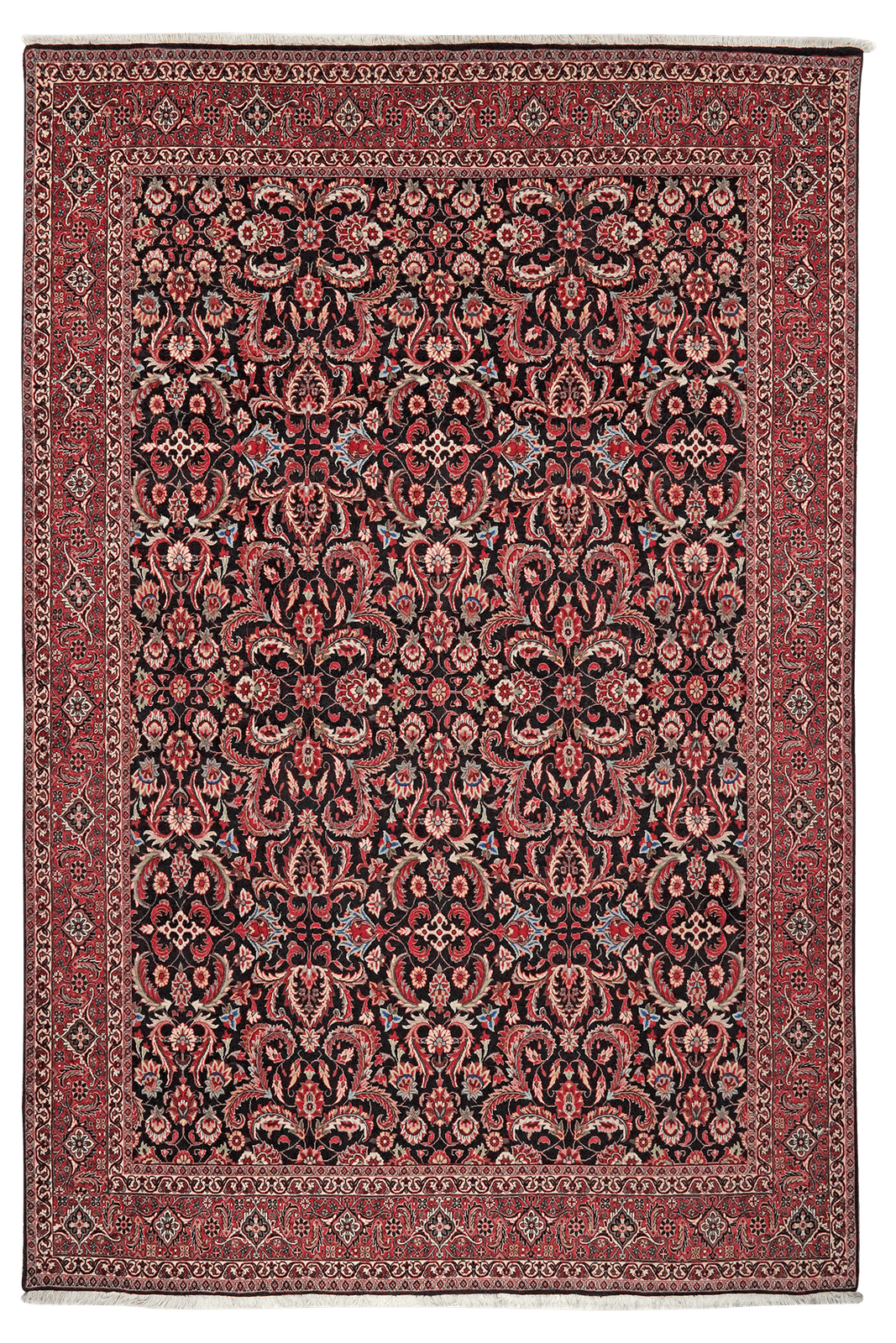 Bidjar Bookan — Hand-knotted, 206x305 cm, Blue, 100% Virgin Wool | Main view