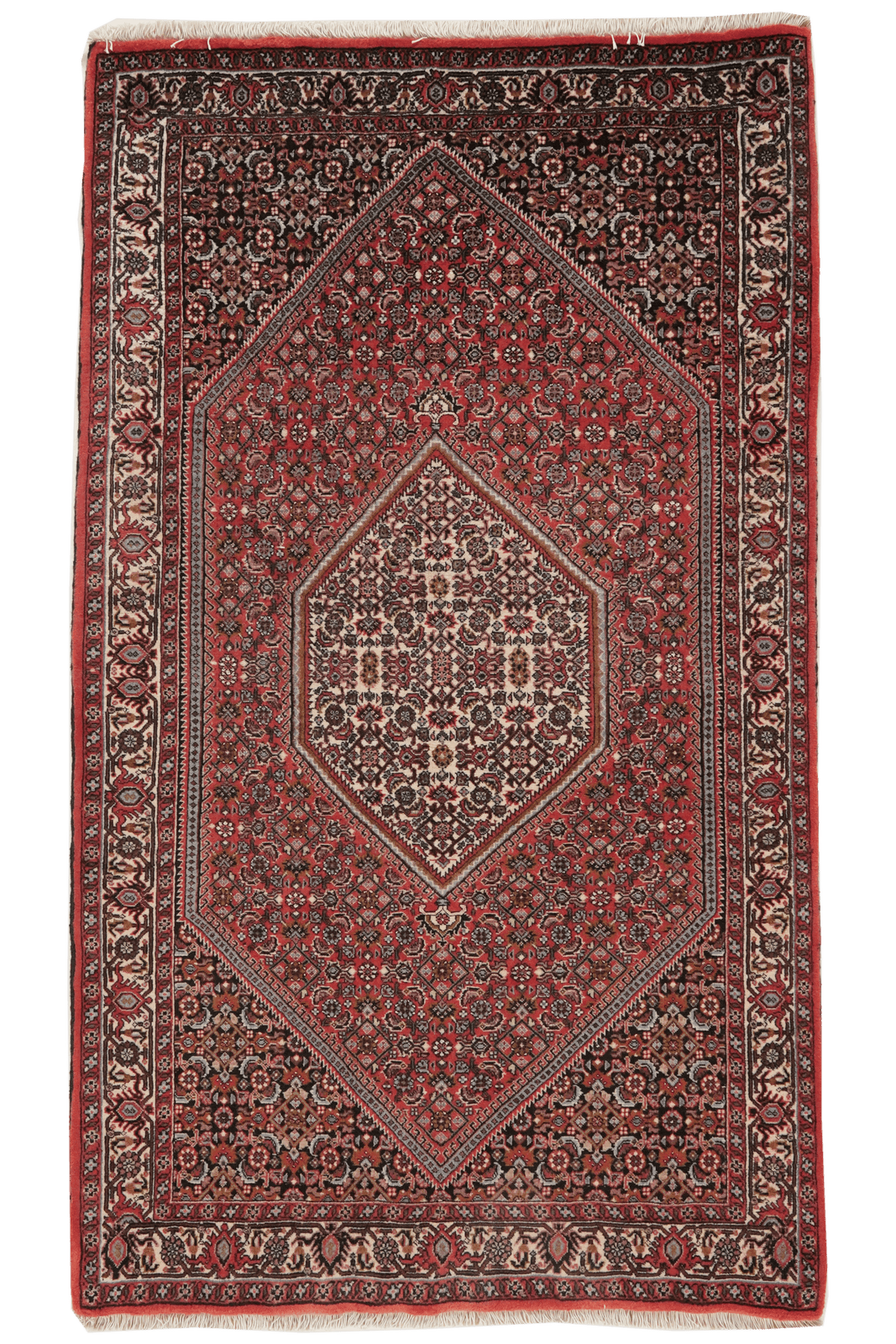 Bidjar Bookan — Hand-knotted, 87x151 cm, Red, 100% Virgin Wool | Main view