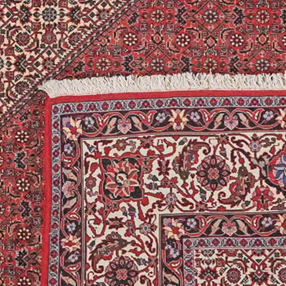 Bidjar — Hand-knotted, 254x268 cm, Red, 100% Virgin Wool | View 6