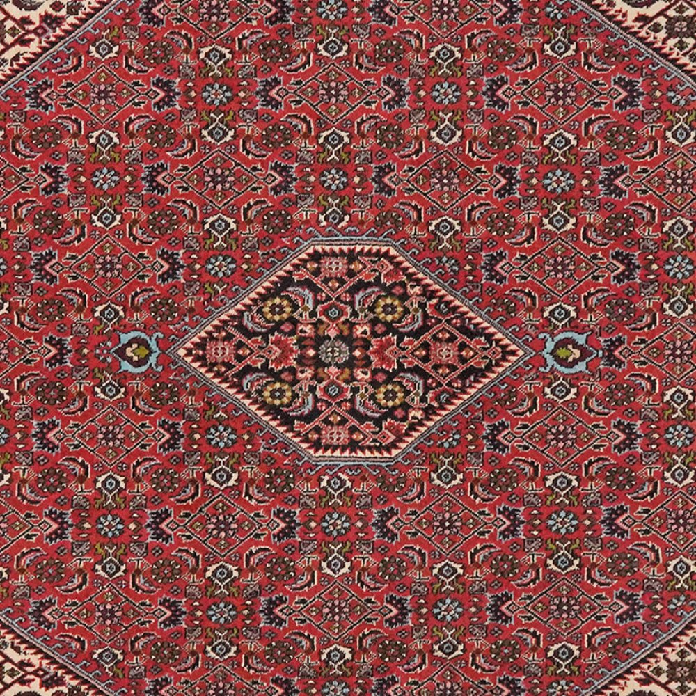 Bidjar Zandjan — Hand-knotted, 202x197 cm, Red, 100% Virgin Wool | View 4