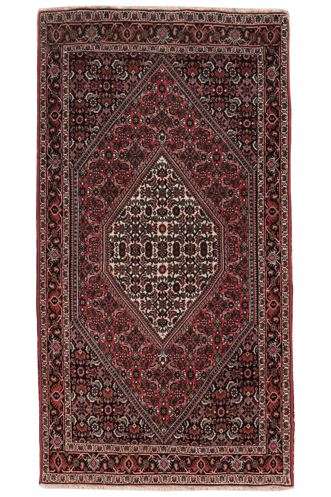 Bidjar Tekkab — Hand-knotted, 91x172 cm, Red, 100% Virgin Wool | Main view