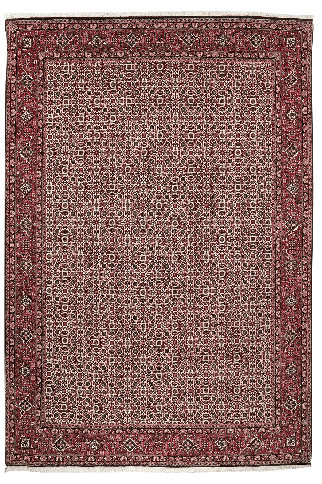 Bidjar — Hand-knotted, 202x296 cm, Beige, 100% Virgin Wool | Main view