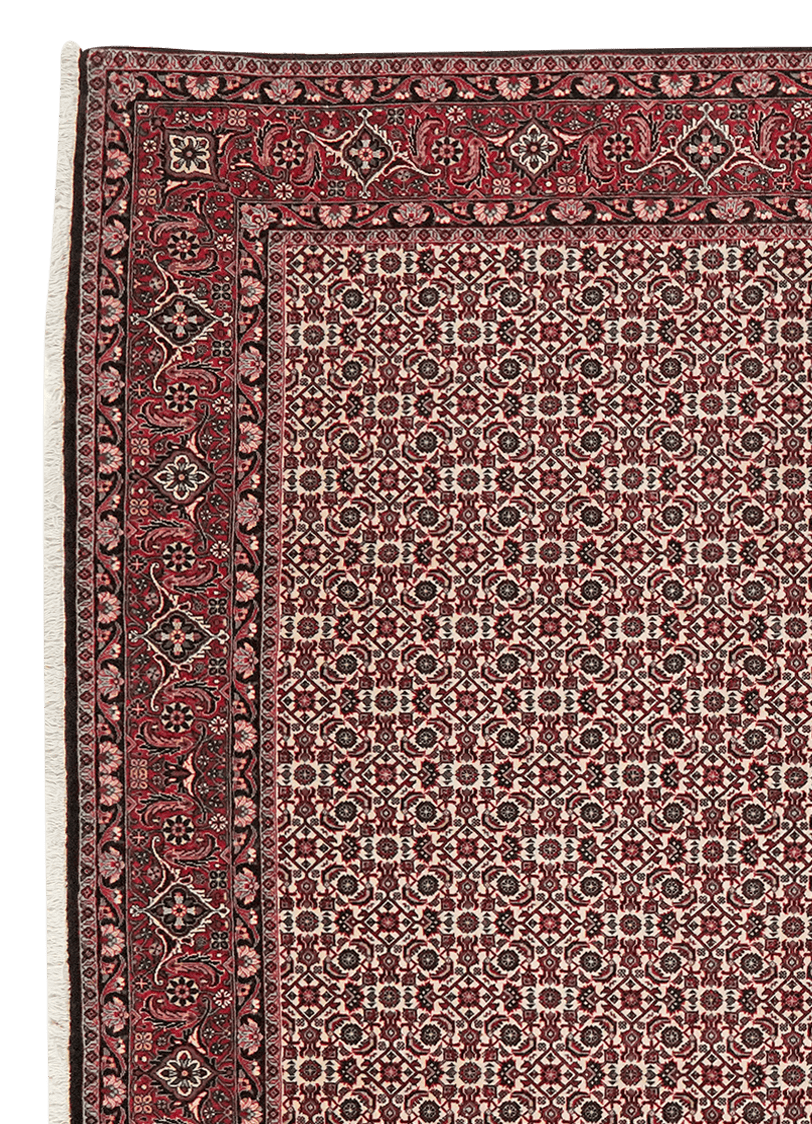 Bidjar — Hand-knotted, 202x296 cm, Beige, 100% Virgin Wool | View 3