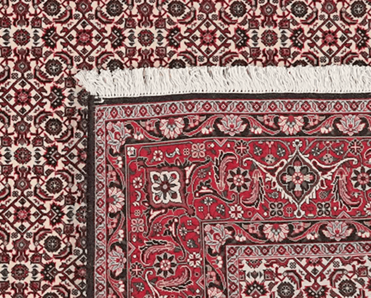 Bidjar — Hand-knotted, 202x296 cm, Beige, 100% Virgin Wool | View 6
